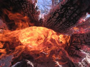 Incendi boschivi