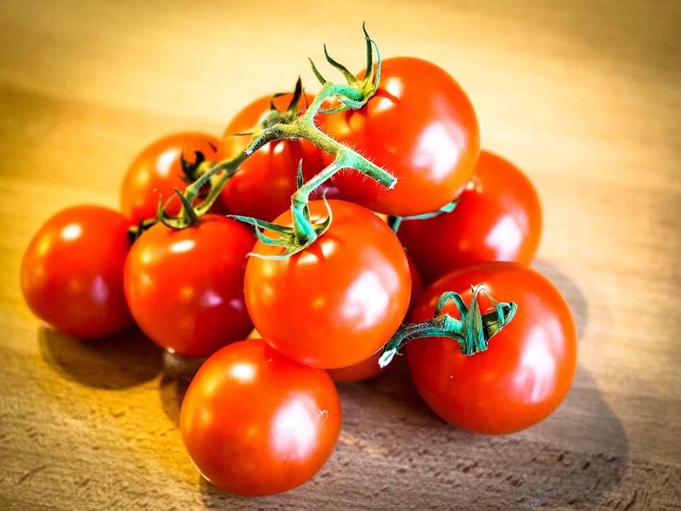 Pomodoro come una volta: tra qualche anno ritornerà in auge