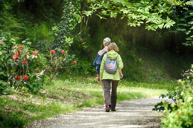 Il risveglio della primavera