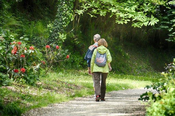 Il risveglio della primavera: una stagione che ci fa rifiorire