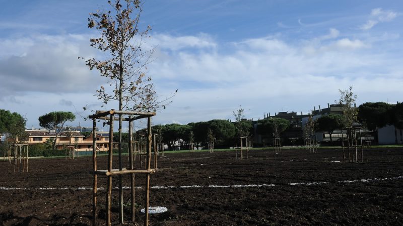 Giardino della Giustizia alla Romanina: parte la riqualificazione