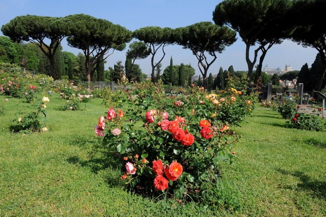 Roseto di Roma: prolungata l’apertura al pubblico