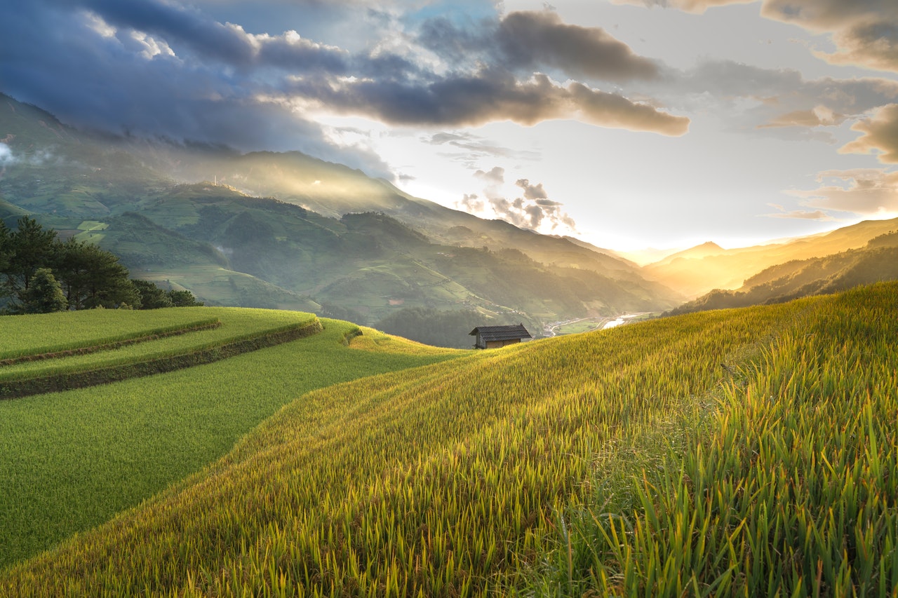 Alla scoperta di un attrezzo agricolo innovativo: la trincia telecomandata