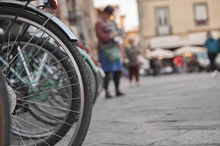 roma disabilità